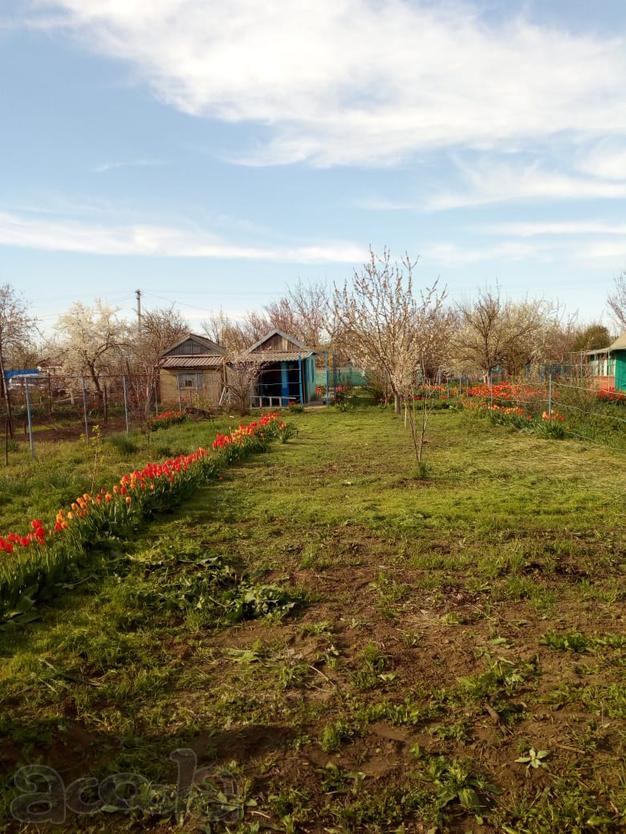 Продам дачу. Приватизирована