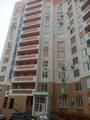 2-к квартира Шолохова